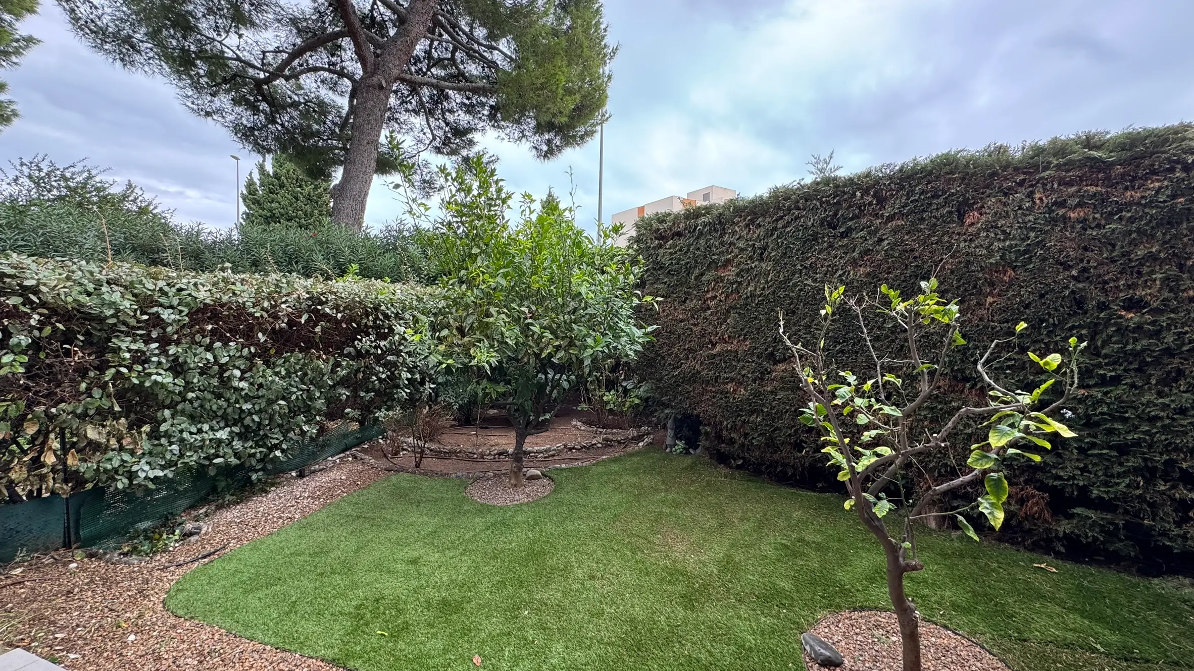 Jardin après notre intervention